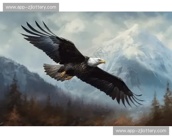 太阳的辉煌与老鹰的展翅：一场宿命的对决，一场信仰的较量